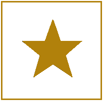 Add to Favorites Icon